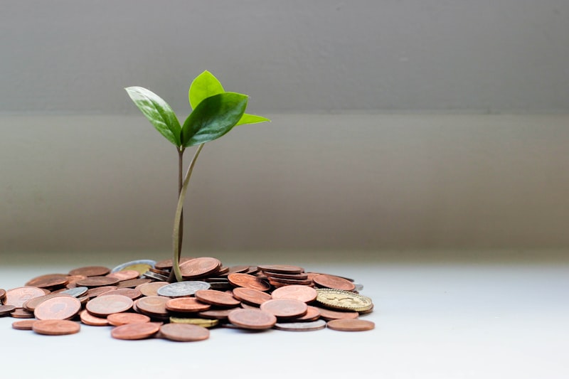 Debt Recovery