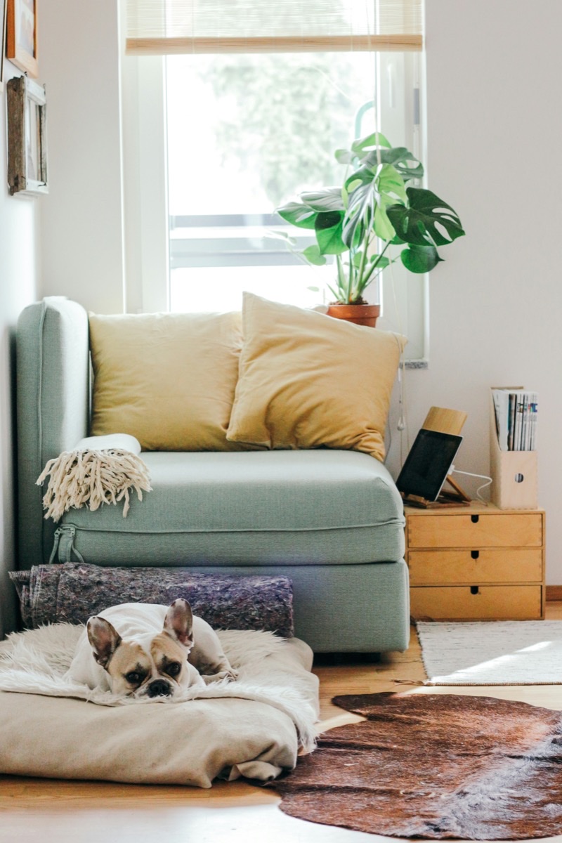 Landlords and Tenants